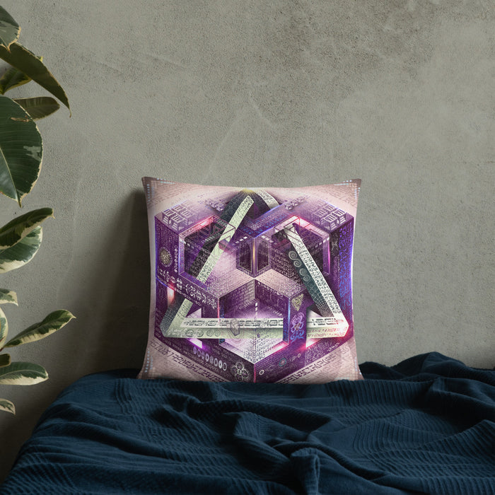 Translinguistic Equation Pillow