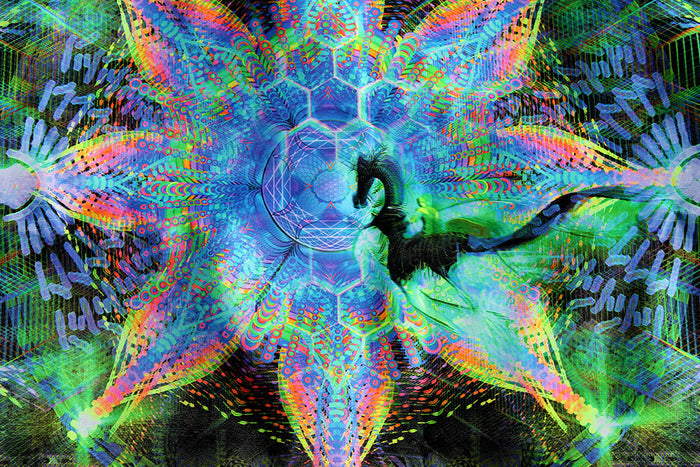 UV Active NEON Canvas Backdrop - Harmalan Fable 75 x 75 cm