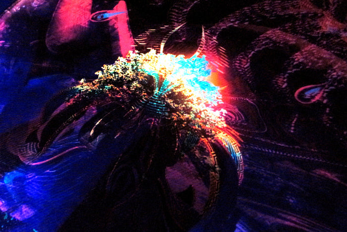 UV Active NEON Lycra Tapestry / Backdrop - Lux Natura