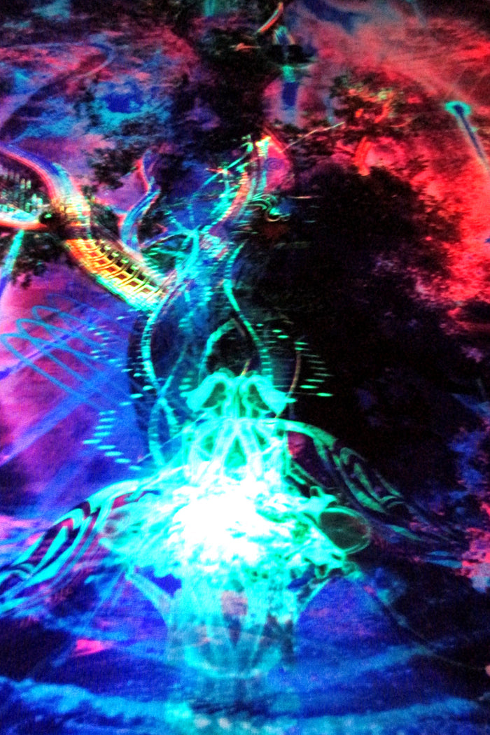 UV Active NEON Lycra Tapestry / Backdrop - Lux Natura