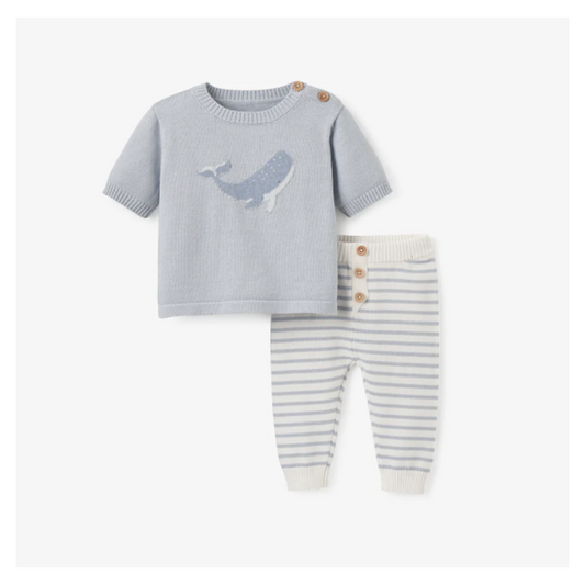 Whale Short Sleeve Sweater & Pant Set